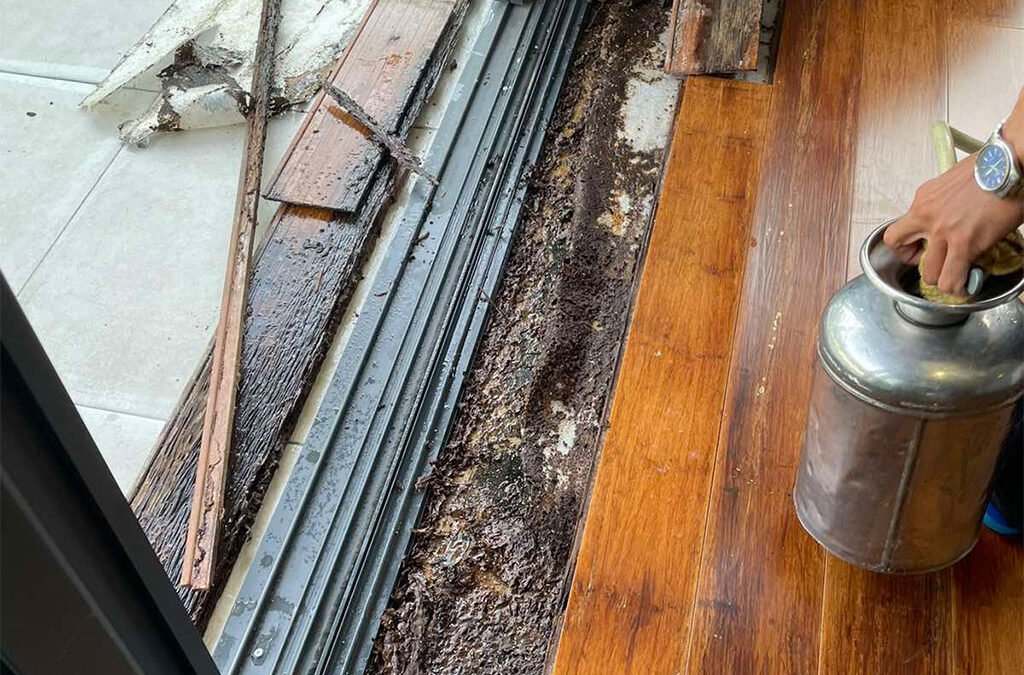 Pre-Construction Termite Treatment in the Philippines: Why You Do It Before the Slab Is Poured